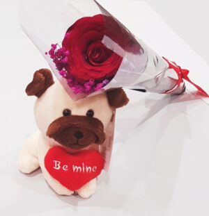 Handmade Single Rose Bouquet with Ribbon and a small Plush Toy