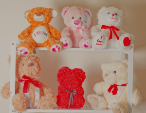 Hugs & Cuddles Collection (Small)